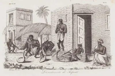 Divertimento de Serpenti, Asia Vol. III Tav.62 (Snake Charmers)